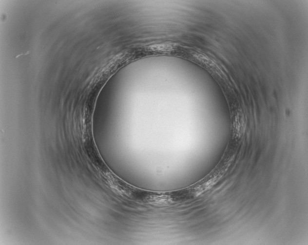 X0000057060424200510071411