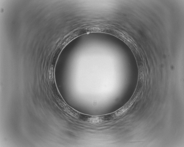 X0000057060425200510071411