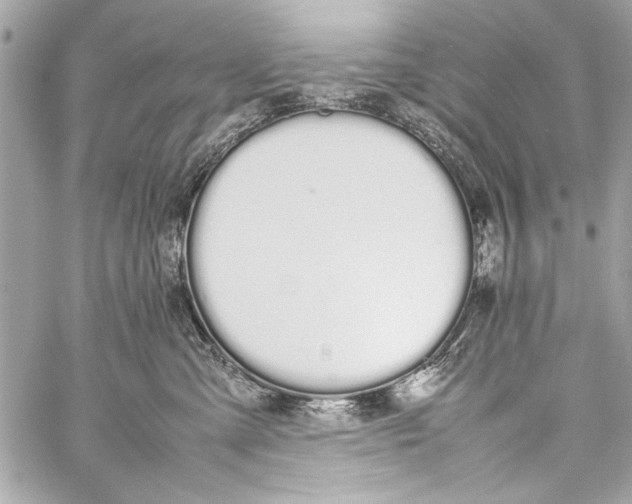 X0000057060427200510071411