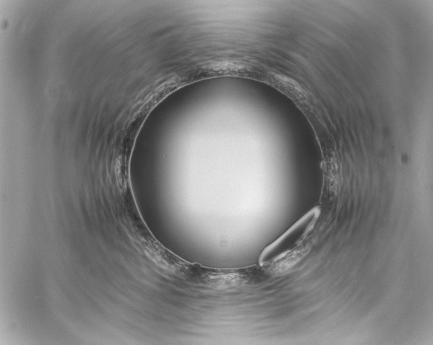 X0000057060428200510071411