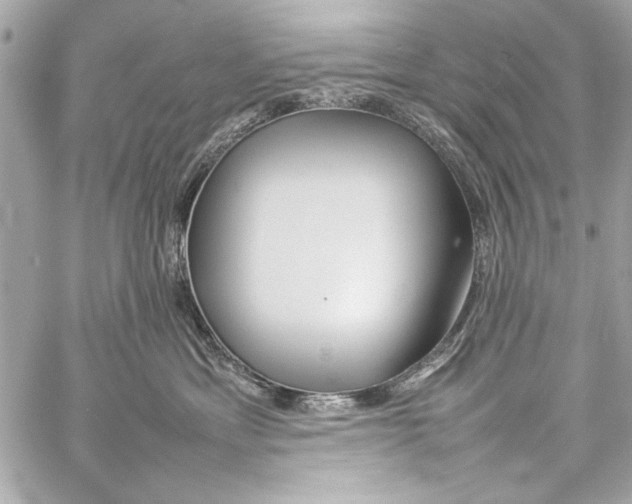 X0000057060429200510071411