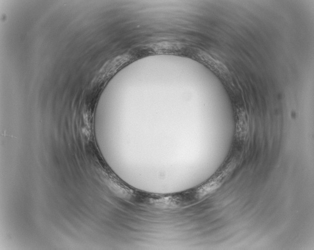 X0000057060430200510071411