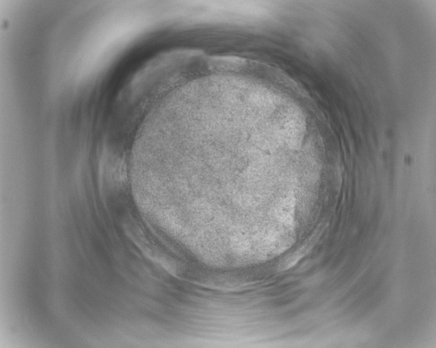 X0000057060431200510071411