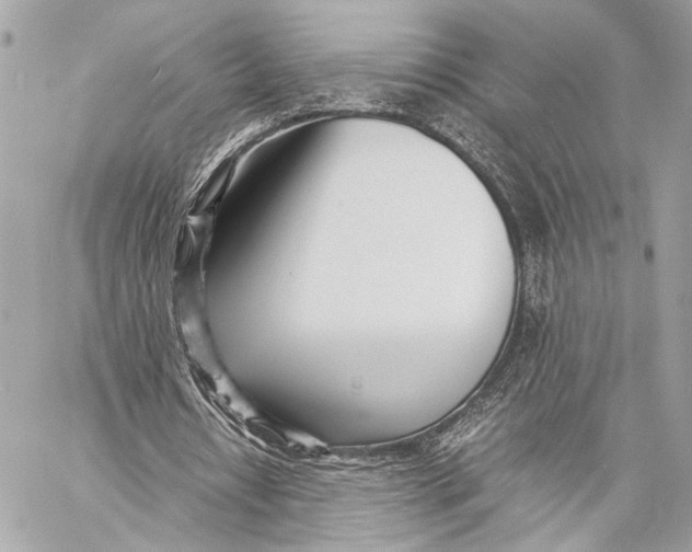 X0000057060434200510071410