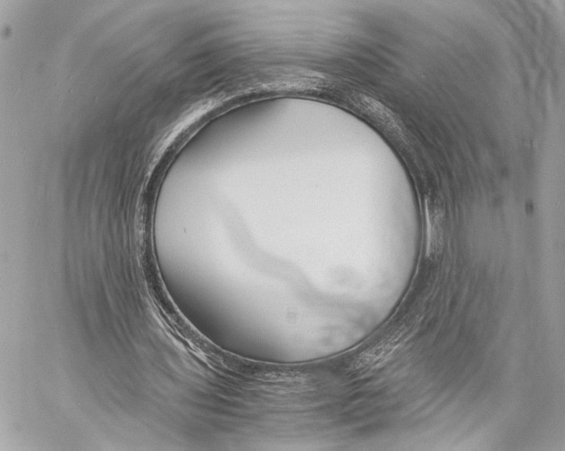 X0000057060435200510071410