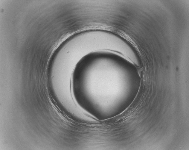 X0000057060436200510071410