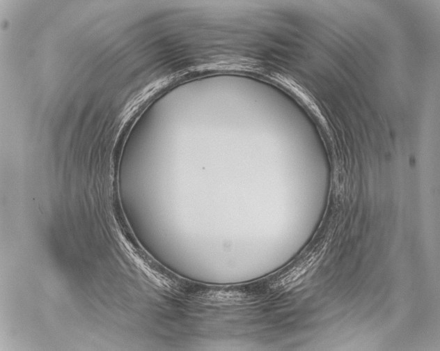 X0000057060437200510071410