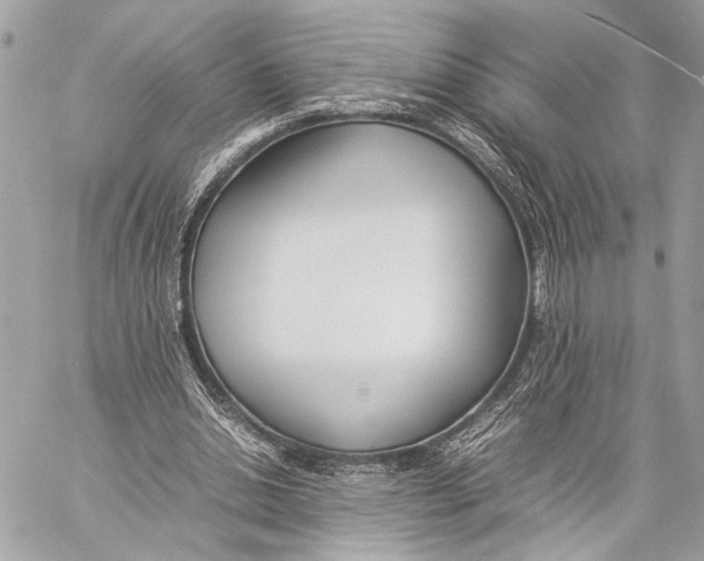 X0000057060438200510071410