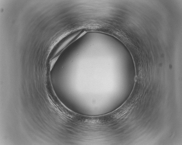 X0000057060440200510071410