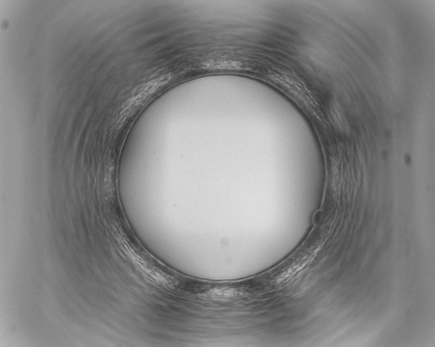 X0000057060441200510071411