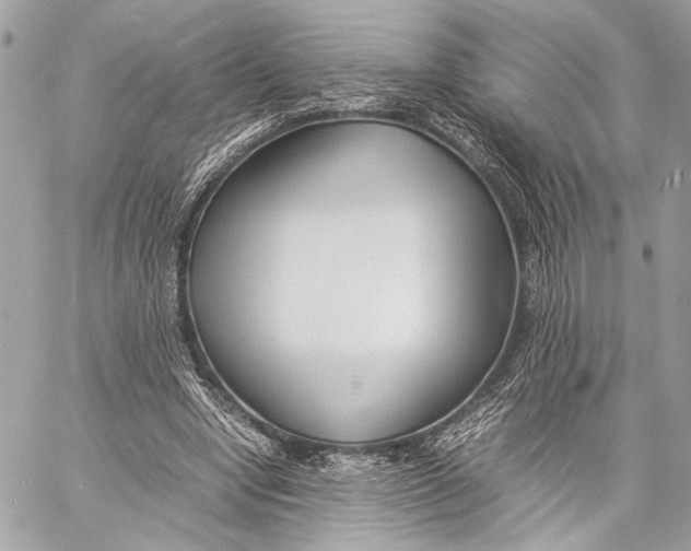 X0000057060442200510071411