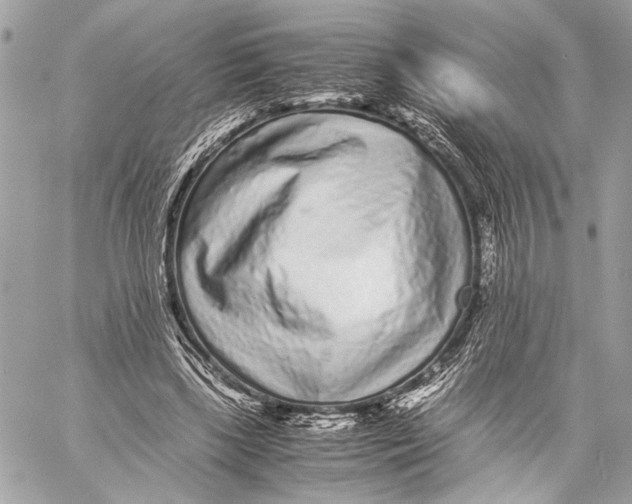 X0000057060443200510071411