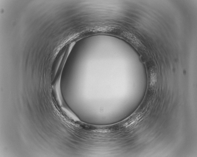 X0000057060444200510071411