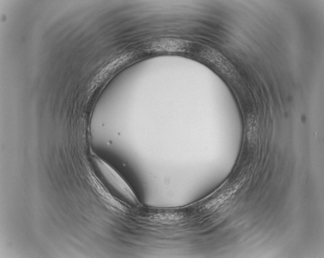 X0000057060445200510071411