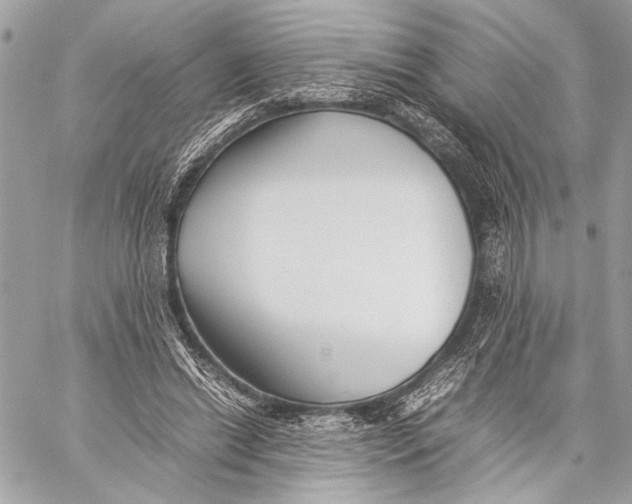 X0000057060446200510071411