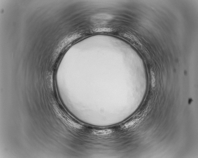 X0000057060447200510071411