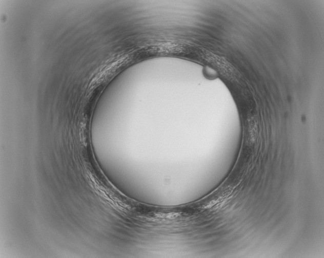 X0000057060450200510071411