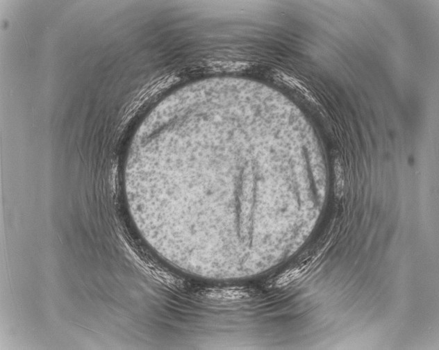 X0000057060451200510071411