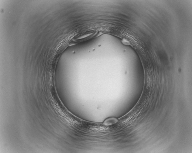 X0000057060453200510071411