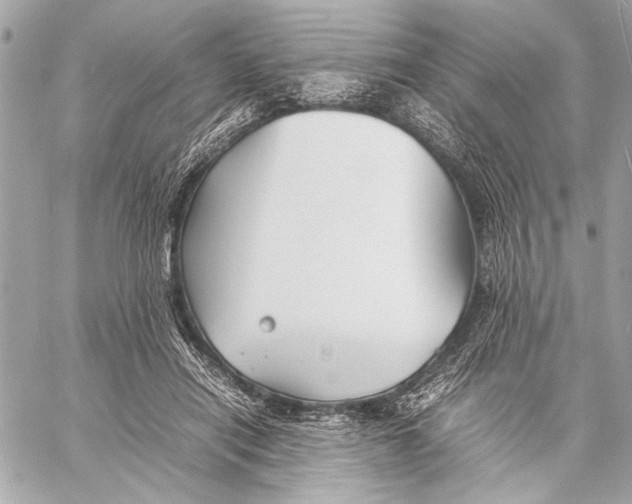 X0000057060454200510071411