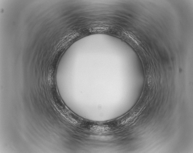 X0000057060455200510071411