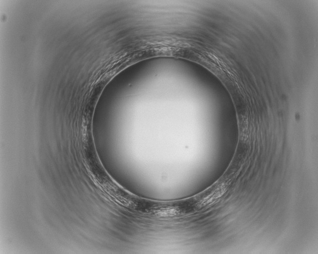 X0000057060456200510071411