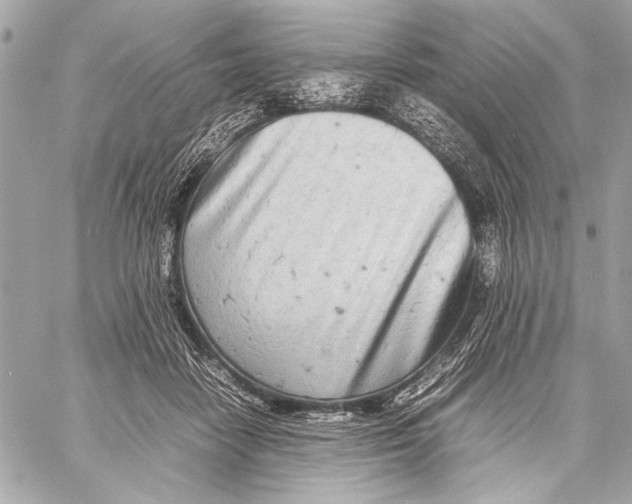 X0000057060458200510071411