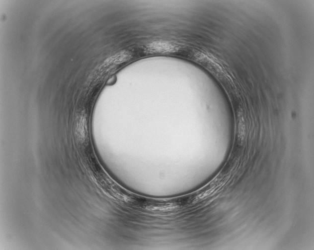 X0000057060459200510071411