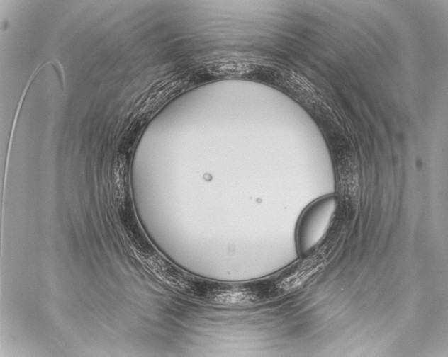 X0000057060460200510071411