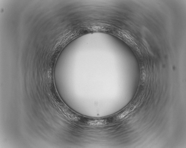 X0000057060461200510071411