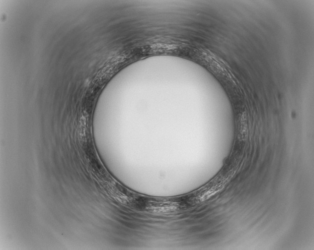 X0000057060463200510071411