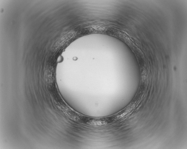 X0000057060464200510071411