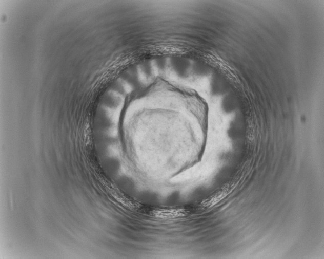 X0000057060465200510071411