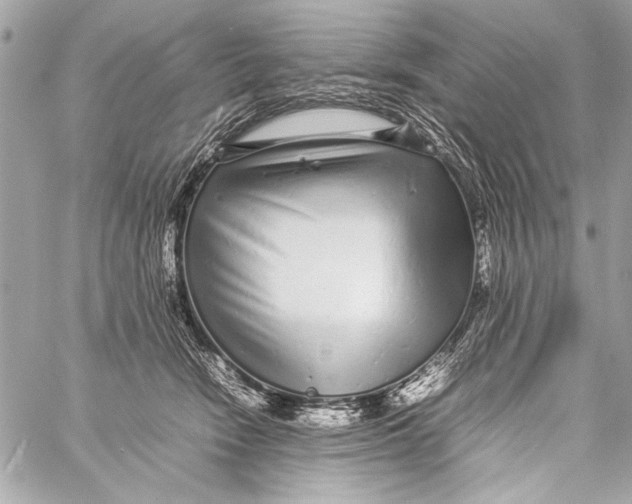 X0000057060466200510071411