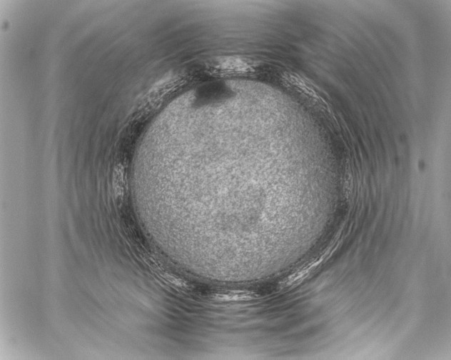 X0000057060467200510071411