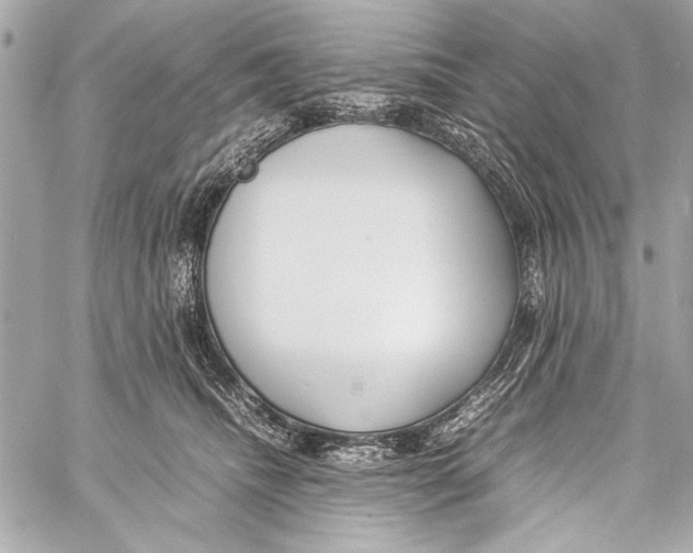 X0000057060468200510071411