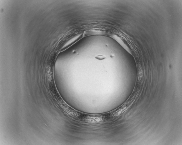 X0000057060469200510071411