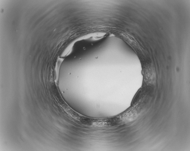 X0000057060470200510071411