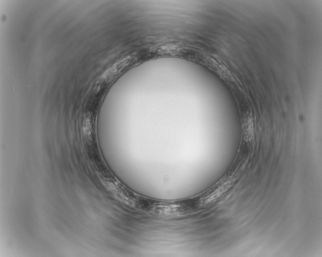 X0000057060472200510071411