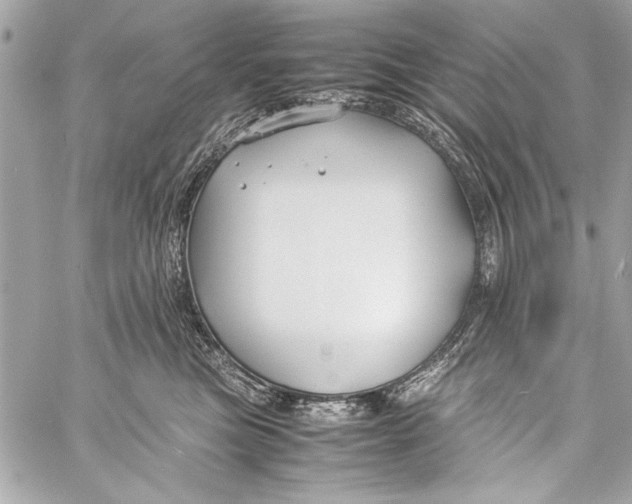 X0000057060473200510071411