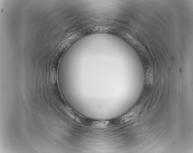 X0000057060474200510071411