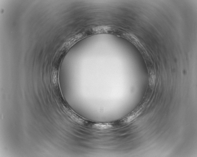 X0000057060477200510071411