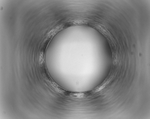 X0000057060478200510071411