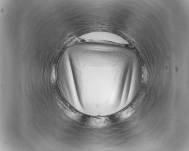 X0000057060479200510071411