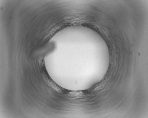 X0000057060480200510071411