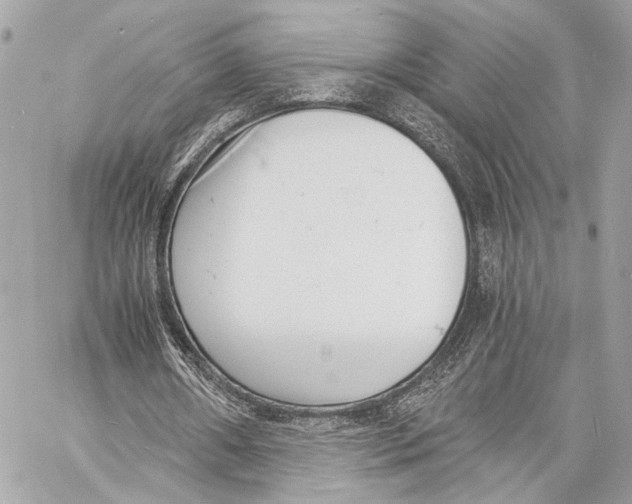 X0000057060482200510071410