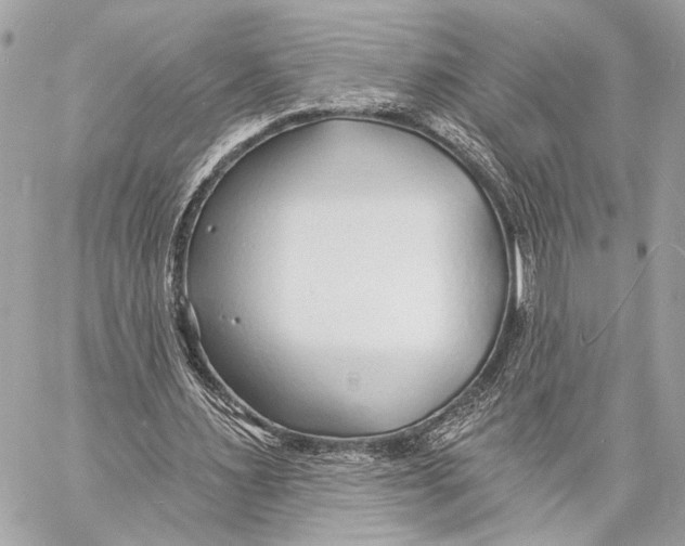 X0000057060483200510071410