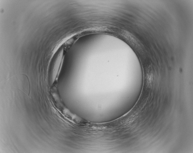 X0000057060484200510071410