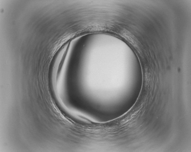 X0000057060485200510071410