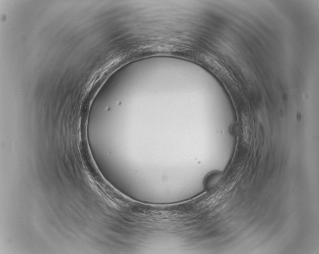 X0000057060486200510071410